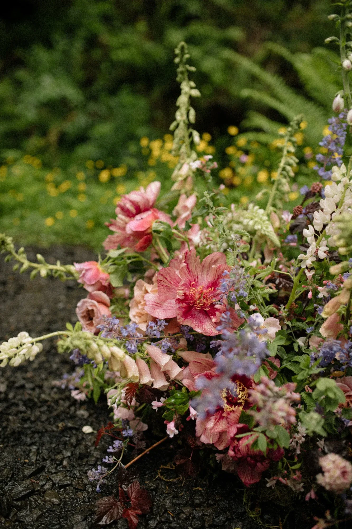 A ground arrangement of foxgloves, dahlias and wildflowers at the edge of a woodland
